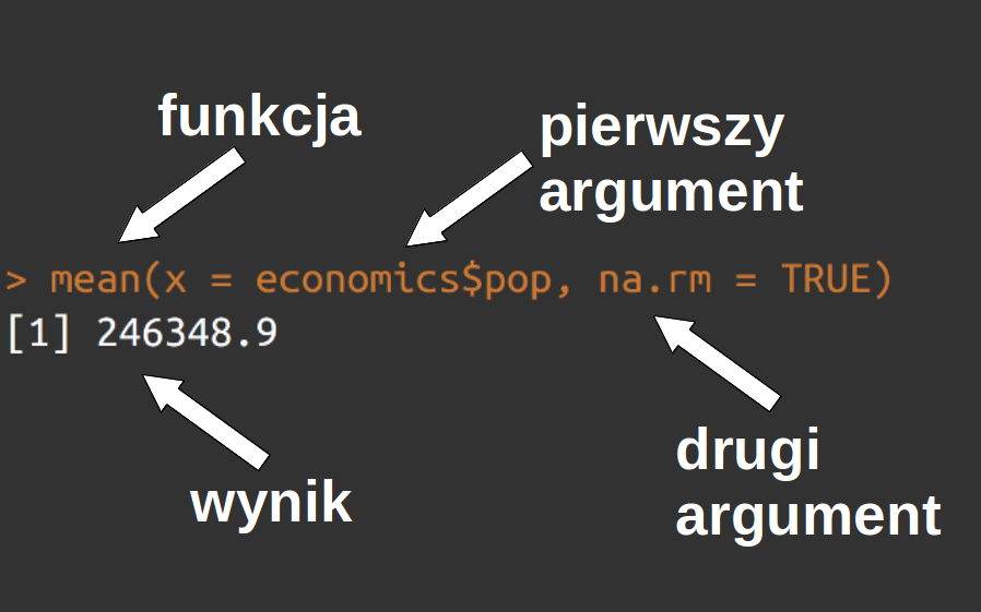 Przykład struktury funkcji w R.