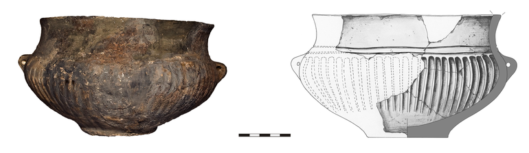 Waza typu W22b, zdobiona na brzuścu dwoma poziomymi liniami rytymi, poniżej dookolnie – szerokimi, pionowymi żłobkami. Krawędź pogrubiona, prosto ścięta, dno wyodrębnione, ucha poziomo przekłute. Domieszka tłuczonego kamienia i krzemienia. H – 12 cm, R1 – 18,4 cm, R2 – 17,4 cm, R3 – 20,3 cm, R4 – 7,8 cm